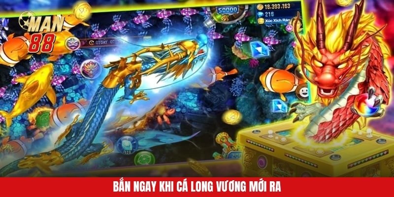 Bắn ngay khi cá long vương mới ra